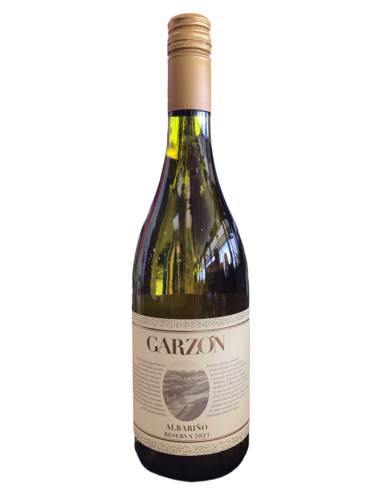 Garzon Albarino Reserva 2023